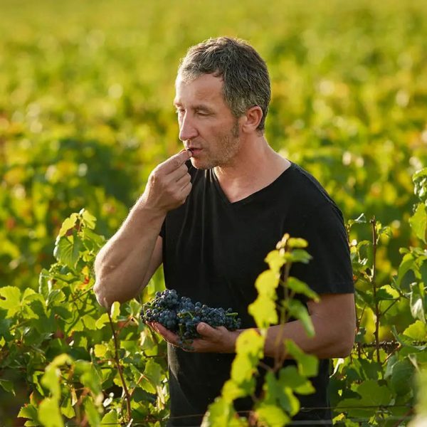 Domaine René Bouvier